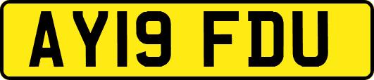 AY19FDU