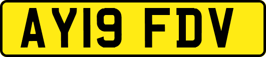 AY19FDV
