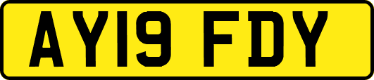 AY19FDY