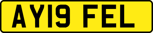 AY19FEL
