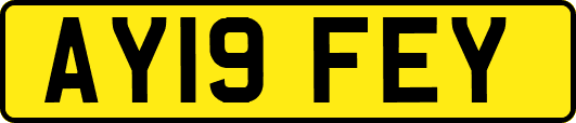 AY19FEY