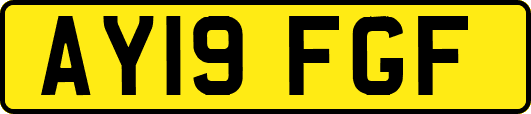 AY19FGF