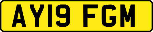 AY19FGM