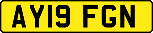 AY19FGN