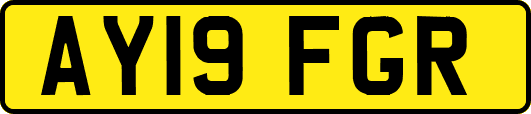 AY19FGR