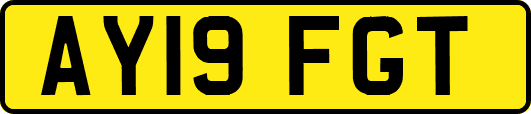 AY19FGT