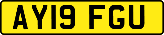 AY19FGU