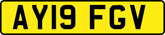 AY19FGV