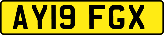 AY19FGX