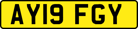 AY19FGY