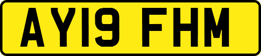AY19FHM