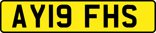 AY19FHS