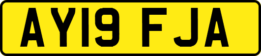 AY19FJA