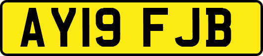 AY19FJB