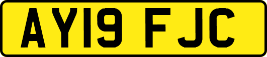 AY19FJC
