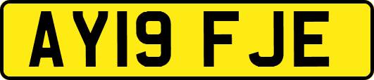 AY19FJE