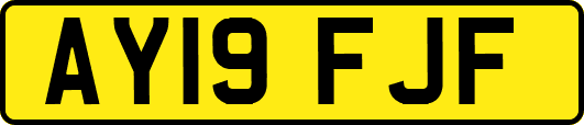 AY19FJF