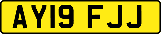 AY19FJJ