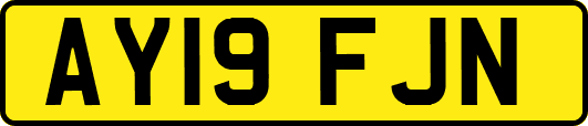 AY19FJN