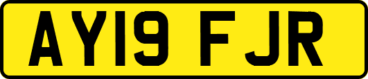AY19FJR