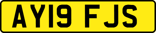 AY19FJS