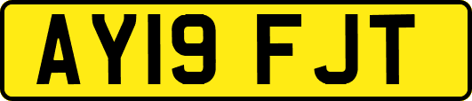 AY19FJT
