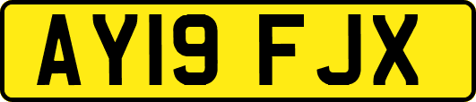 AY19FJX