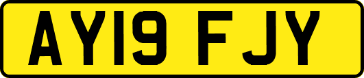 AY19FJY