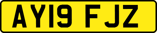 AY19FJZ