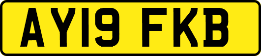 AY19FKB