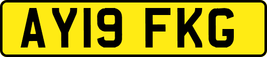 AY19FKG