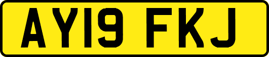 AY19FKJ