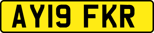 AY19FKR