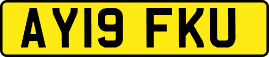 AY19FKU