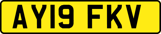 AY19FKV