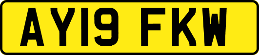 AY19FKW