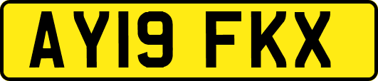 AY19FKX