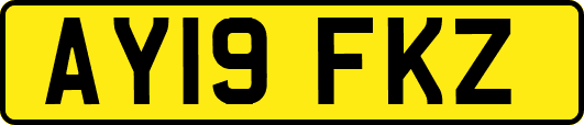 AY19FKZ