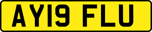 AY19FLU