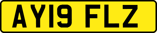 AY19FLZ