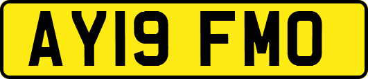 AY19FMO