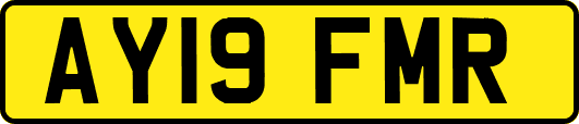 AY19FMR
