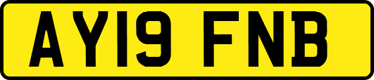 AY19FNB