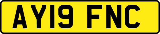 AY19FNC