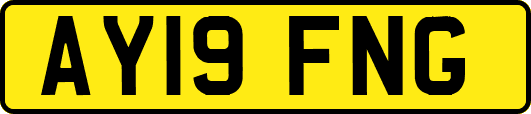 AY19FNG
