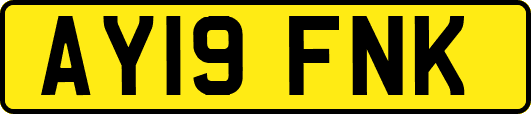 AY19FNK