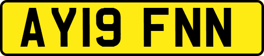 AY19FNN