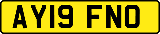 AY19FNO