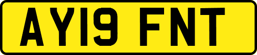 AY19FNT