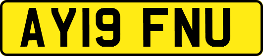 AY19FNU